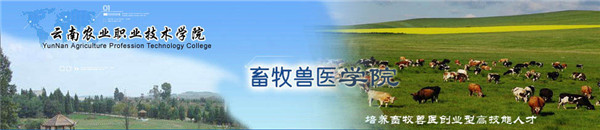 云南农业职业技术学院2021年五年一贯制大专招生简章(图2)